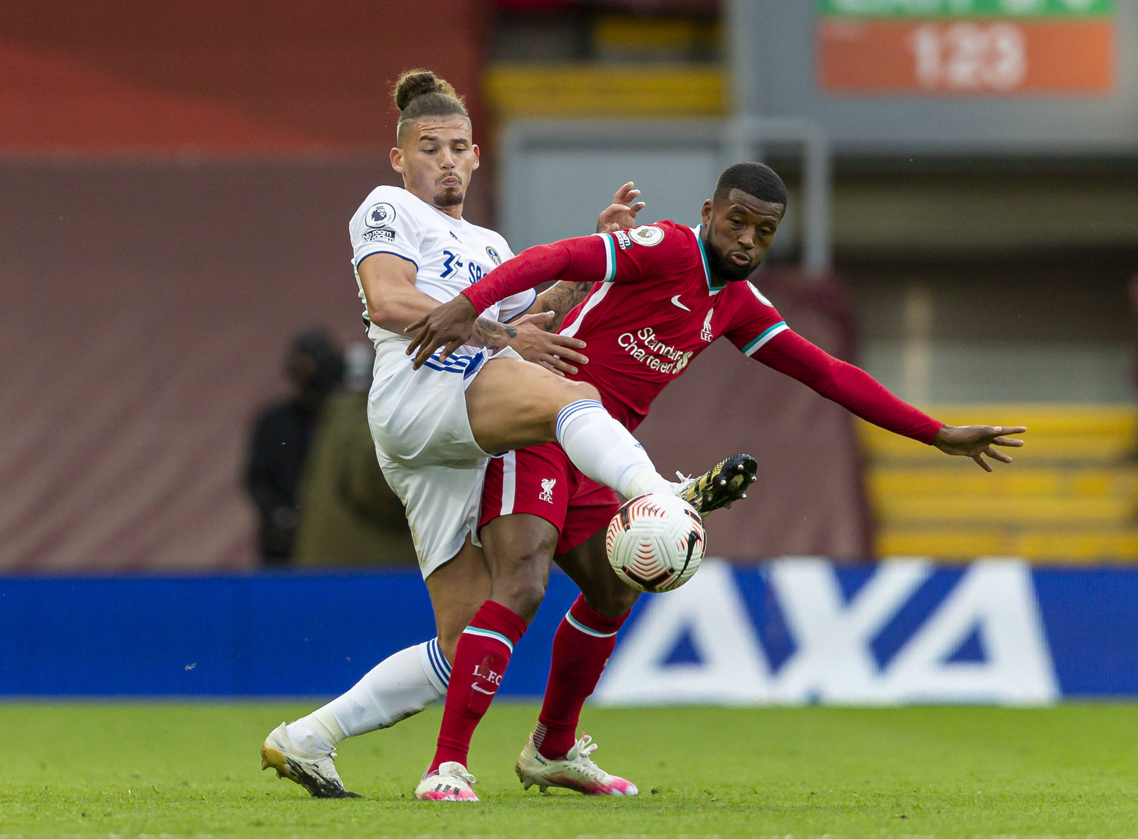 这将不仅仅 这将不仅仅