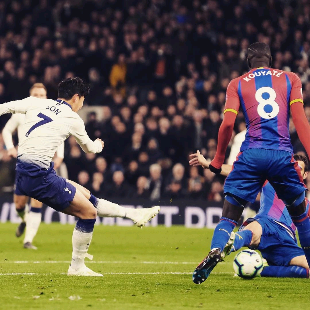 扎实的后场 扎实的后场