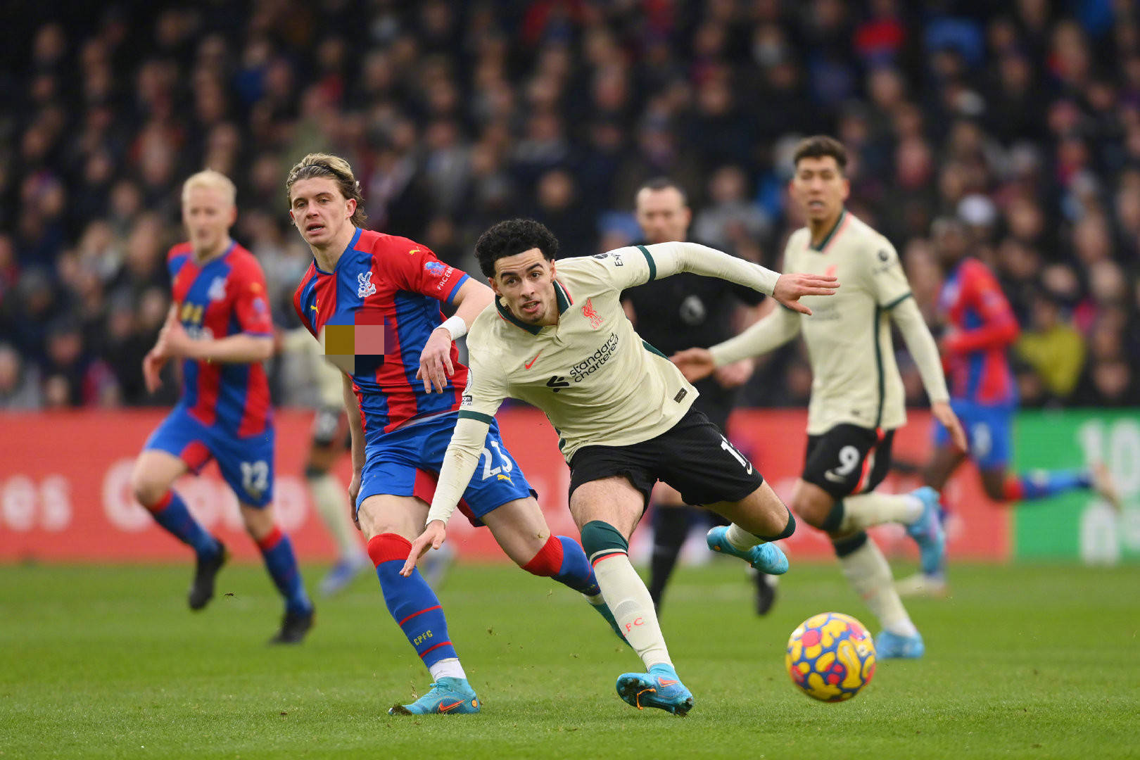 如果因西涅 如果因西涅